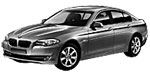 BMW F10 P0131 Fault Code